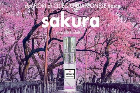 sakura